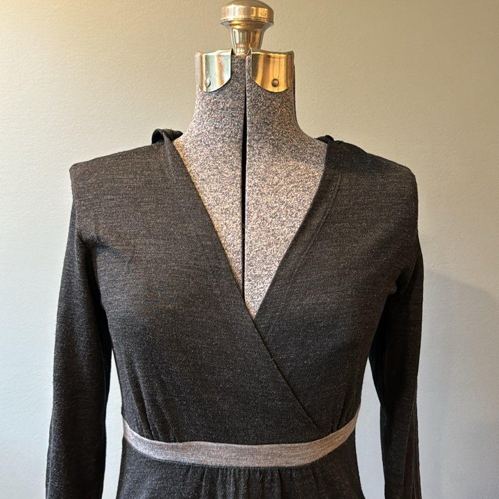 Ibex Merino Hooded Dress - Picture 2 of 12